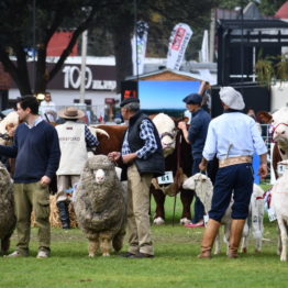 Fotos Expo Prado 2018 - Día 11 (21)