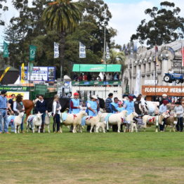 Fotos Expo Prado 2018 - Día 11 (22)