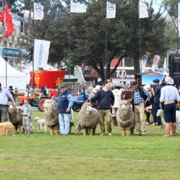 Fotos Expo Prado 2018 - Día 11 (23)