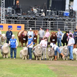 Fotos Expo Prado 2018 - Día 11 (24)