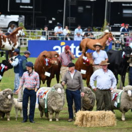 Fotos Expo Prado 2018 - Día 11 (25)