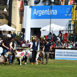 Fotos Expo Prado 2018 - Día 11 (28)