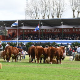 Fotos Expo Prado 2018 - Día 11 (29)