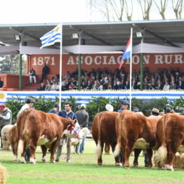 Fotos Expo Prado 2018 - Día 11 (30)