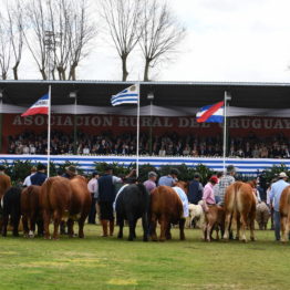 Fotos Expo Prado 2018 - Día 11 (31)