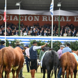 Fotos Expo Prado 2018 - Día 11 (32)