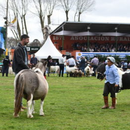 Fotos Expo Prado 2018 - Día 11 (34)