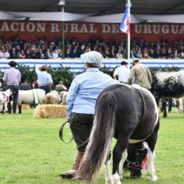 Fotos Expo Prado 2018 - Día 11 (35)