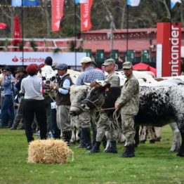 Fotos Expo Prado 2018 - Día 11 (36)