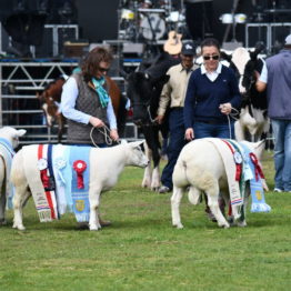 Fotos Expo Prado 2018 - Día 11 (37)