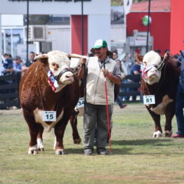 Fotos Expo Prado 2018 - Día 11 (39)