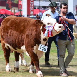 Fotos Expo Prado 2018 - Día 11 (40)