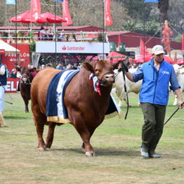 Fotos Expo Prado 2018 - Día 11 (41)