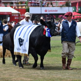 Fotos Expo Prado 2018 - Día 11 (42)