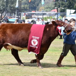 Fotos Expo Prado 2018 - Día 11 (43)