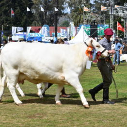 Fotos Expo Prado 2018 - Día 11 (44)