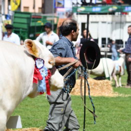 Fotos Expo Prado 2018 - Día 11 (45)