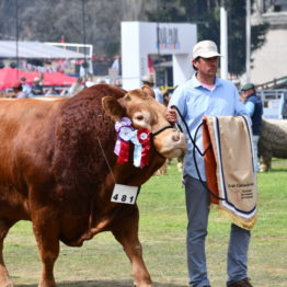 Fotos Expo Prado 2018 - Día 11 (46)