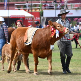 Fotos Expo Prado 2018 - Día 11 (47)