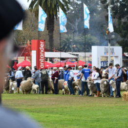 Fotos Expo Prado 2018 - Día 11 (48)