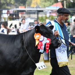 Fotos Expo Prado 2018 - Día 11 (48)