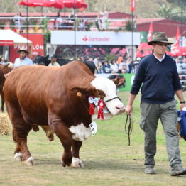 Fotos Expo Prado 2018 - Día 11 (49)