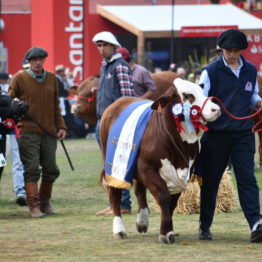 Fotos Expo Prado 2018 - Día 11 (50)