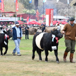 Fotos Expo Prado 2018 - Día 11 (51)