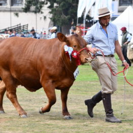 Fotos Expo Prado 2018 - Día 11 (53)