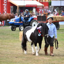 Fotos Expo Prado 2018 - Día 11 (55)