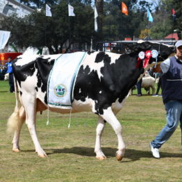 Fotos Expo Prado 2018 - Día 11 (55)