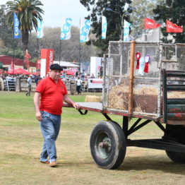 Fotos Expo Prado 2018 - Día 11 (56)