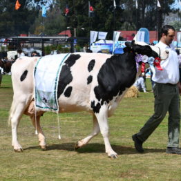 Fotos Expo Prado 2018 - Día 11 (56)