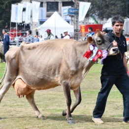 Fotos Expo Prado 2018 - Día 11 (57)