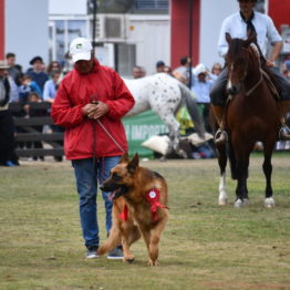 Fotos Expo Prado 2018 - Día 11 (58)