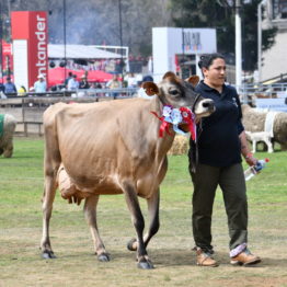 Fotos Expo Prado 2018 - Día 11 (58)