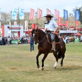 Fotos Expo Prado 2018 - Día 11 (59)