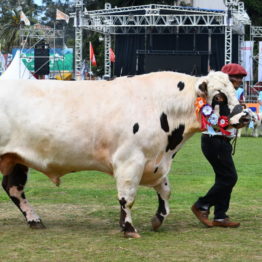 Fotos Expo Prado 2018 - Día 11 (59)