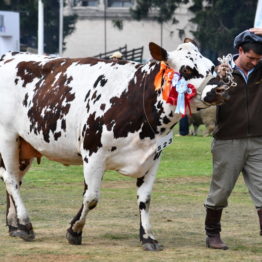 Fotos Expo Prado 2018 - Día 11 (60)