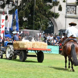 Fotos Expo Prado 2018 - Día 11 (61)