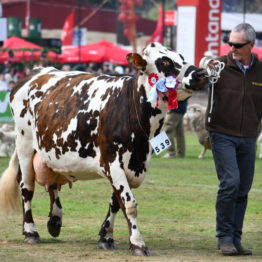 Fotos Expo Prado 2018 - Día 11 (61)