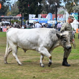 Fotos Expo Prado 2018 - Día 11 (62)