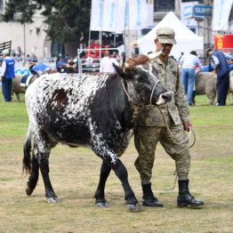 Fotos Expo Prado 2018 - Día 11 (63)