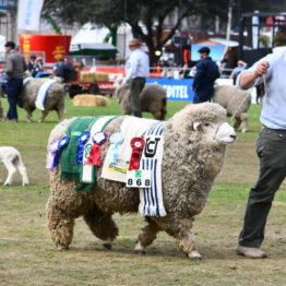 Fotos Expo Prado 2018 - Día 11 (64)