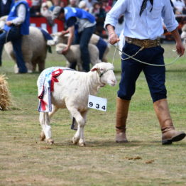 Fotos Expo Prado 2018 - Día 11 (68)