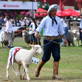 Fotos Expo Prado 2018 - Día 11 (69)