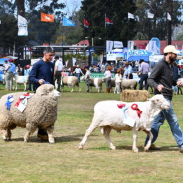 Fotos Expo Prado 2018 - Día 11 (70)