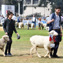 Fotos Expo Prado 2018 - Día 11 (79)