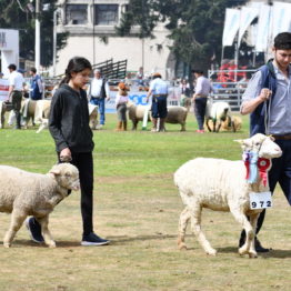 Fotos Expo Prado 2018 - Día 11 (80)