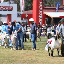 Fotos Expo Prado 2018 - Día 11 (90)